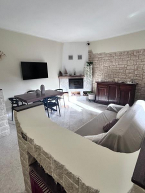 Realty Company Arenula